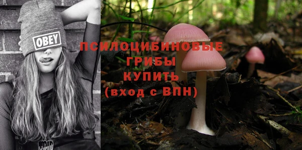 ПСИЛОЦИБИНОВЫЕ ГРИБЫ Балабаново
