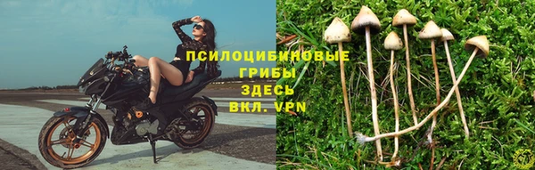 а пвп мука Балахна